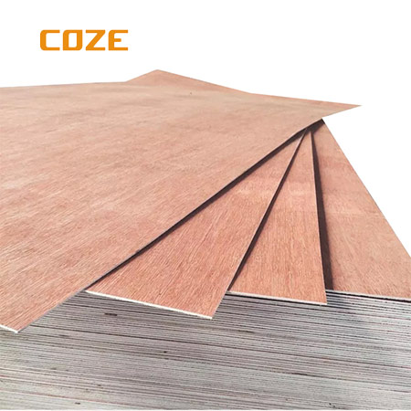 3mm Bintangor Plywood in Commercial Plywood