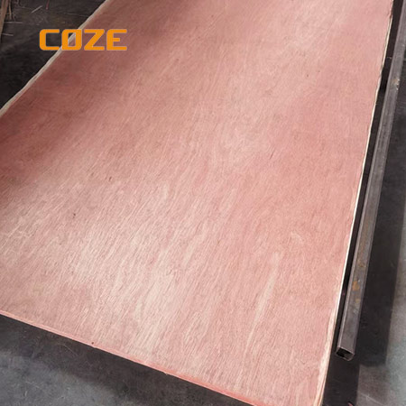 3mm Bintangor Plywood in Commercial Plywood