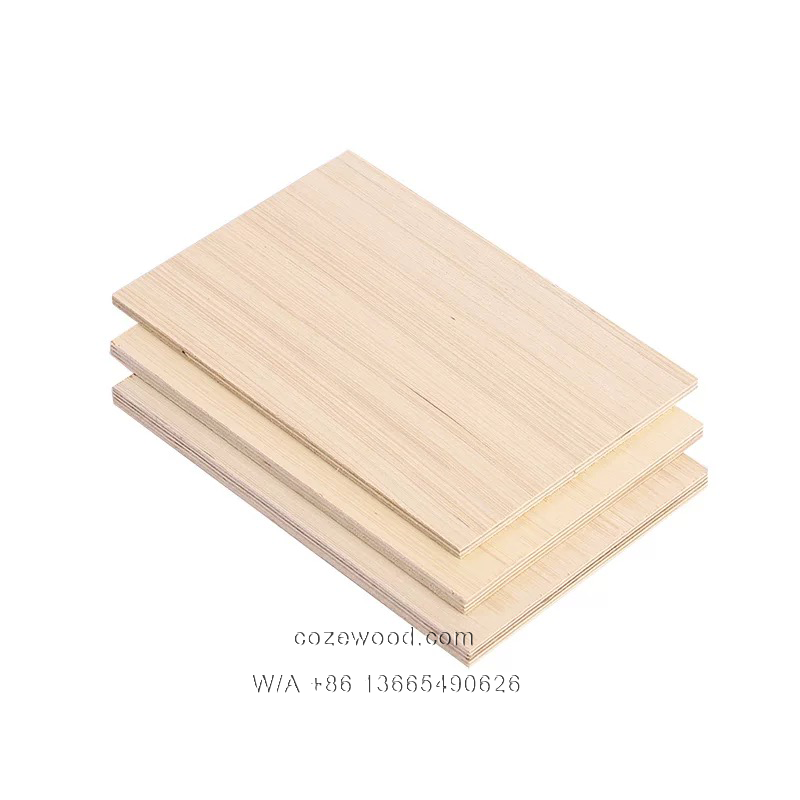 EV Plywood 2.png